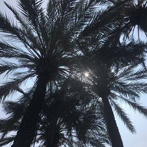 Meet your Posher, Alexia